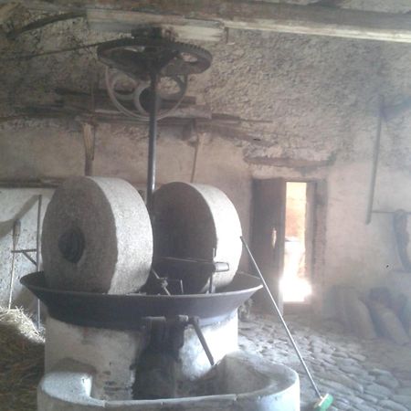 Agriturismo Frantoio Mafrica Limbadi Екстер'єр фото