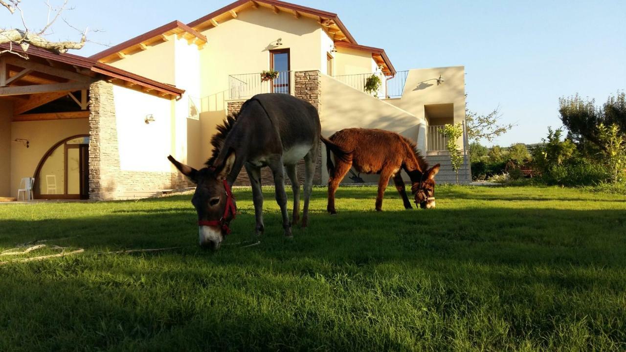 Agriturismo Frantoio Mafrica Limbadi Екстер'єр фото